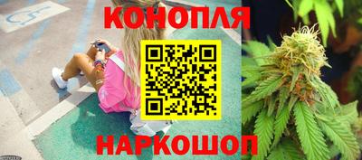 бошки Будённовск