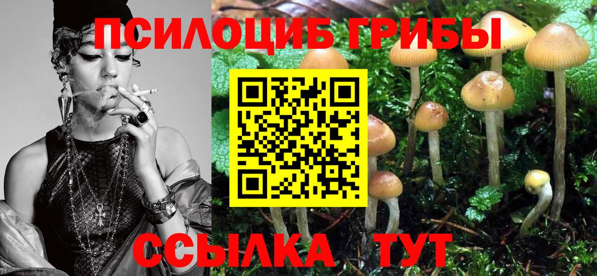 Ростов-на-Дону  Псилоцибиновые грибы GOLDEN TEACHER  Галлюциногенные грибы Psilocybe  закладка  Вход с VPN 
